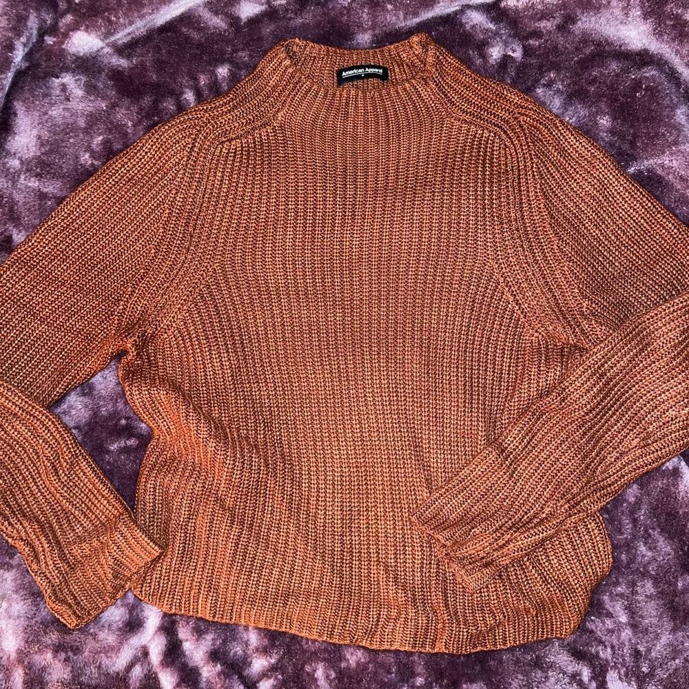 Cropped American Apparel Sweater